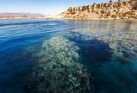 تتميز منطقة "رأس جميلة" بإطلالتها على ساحل البحر الأحمر