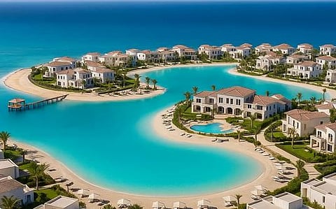نموذج المشروع