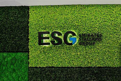 شعار مجموعة "إي إس جي ستاليونز الإمارات"