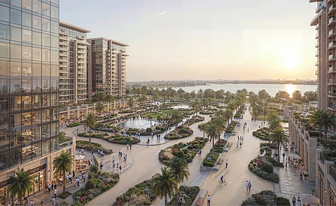 نموذج مشروع The Spine