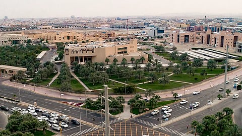 الأحساء