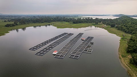 Abandoned coal pits turn into fish farms, provide livelihood in Jharkhand