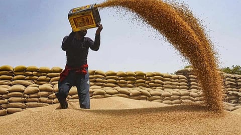 Alt="Punjab Wheat Evacuation"