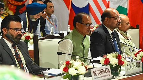 India, ASEAN nations discuss areas for scalable cooperation in agriculture