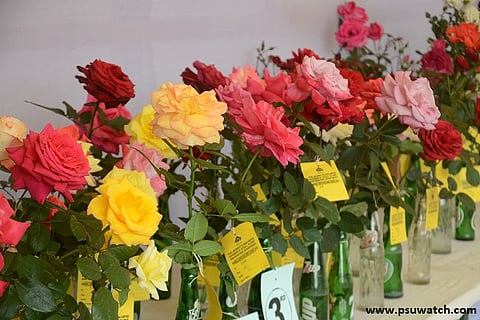 RSP’s CEO inaugurates 54th Annual Horticulture Show-2020
