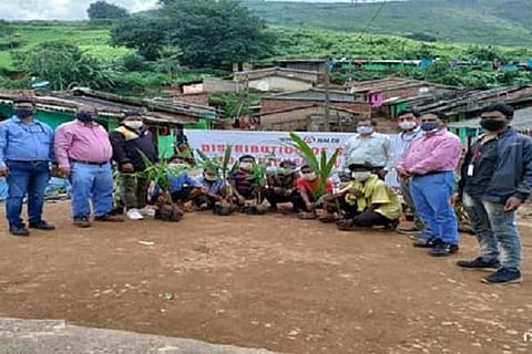 Azadi Ka Amrit Mahotsav: NALCO, Ministry of Mines donate saplings