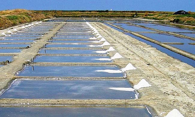 Some states have shown interest in buying salt lands: Official