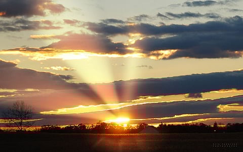 #LifeStyle - सकाळी या नियमांचे पालन करा; आणि राहा दिवसभर 'फ्रेश'