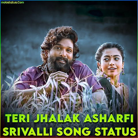 बॉलीवूडमधील 'ही' सर्वाधिक महागडी गाणी पाहीलीत का!