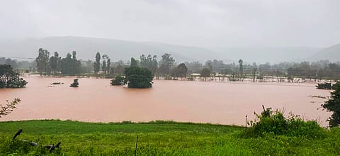 चांदोली धरण पाऊस : चांदोली परिसरात पावसाचा हाहाकार