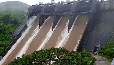 चांदोली धरण : चांदोलीत ५० दिवसांचा पाऊस बरसला केवळ ७ दिवसात!
