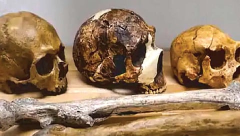 हवामान बदल यामुळे घटू शकते माणसाची उंची