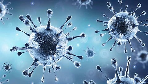 सांगली जिल्ह्यात १११९ कोरोनामुक्त तर ९४५ नवे रुग्ण