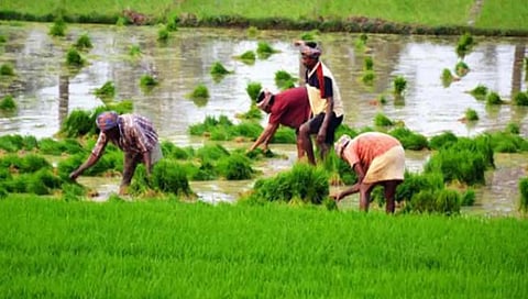 किसान क्रेडिट कार्ड वाटपासाठी आजपासून विशेष मोहीम