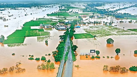 maharashtra rain update : ९ जिल्ह्यात महापुराचे रौद्ररुप, ७६ जणांचा बळी