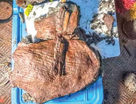 इजिप्त मध्ये दोन हजार वर्षांपूर्वीच्या फळांच्या टोकरीचा शोध