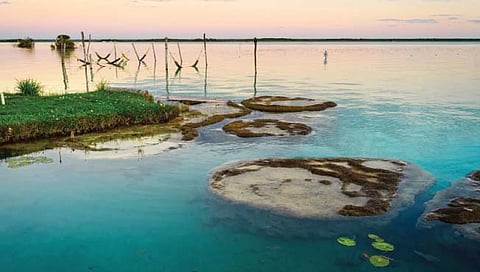 जीवसृष्टीचे पृथ्वीवरील सर्वात जुने पुरावे ‘या’ तलावात आहेत