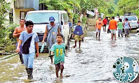 लेप्टोस्पायरोसिस आजार पावसाळ्याच्या काळात अधिक प्रमाणात