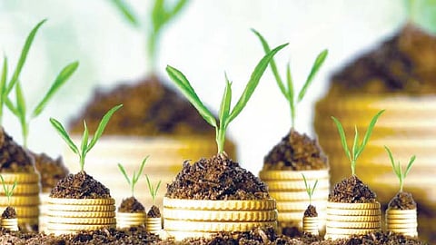 Agricultural Insurance