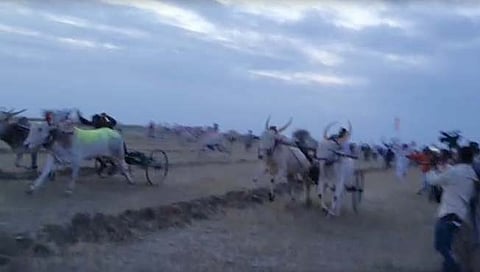 पडळकर यांनी पोलिसांना चकवा देत घेतली बैलगाडी शर्यत