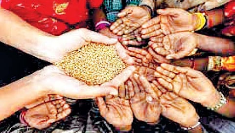 जगावरील अन्नसुरक्षेचे संकट गडद