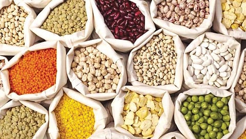 दिलासादायक ‘हमी’