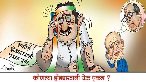 लवंगी मिरची : कोणत्या झेंड्याखाली येऊ एकत्र?