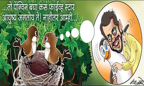 लवंगी मिरची : महागडा पेंग्विन आवडे त्यांना