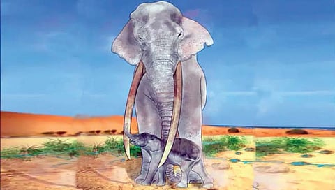 एक लाख वर्षांपूर्वीची हत्तींची ‘नर्सरी’!