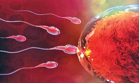 गर्भधारणा रोखणार्‍या अँटिबॉडीची निर्मिती