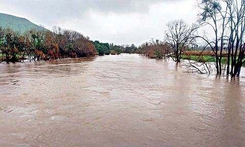 पावसाचा जोर; कृष्णा-वारणा पातळी वाढली