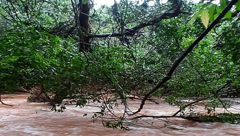 दापोली : कपडे धुण्यासाठी गेलेल्या महिलेचा पाण्यात पडून मृत्यू