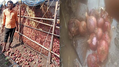 नाशिक पाऊस : दीडशे क्विंटल कांद्यासह गहू भिजला, ४ लाखांचे नुकसान