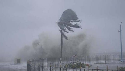संग्रहित छायाचित्र