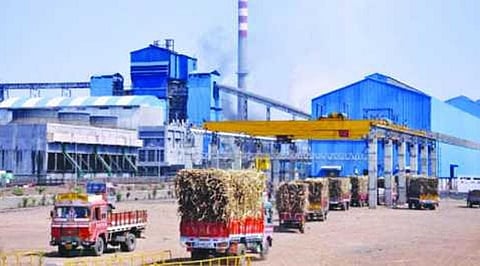 Cooperative Sugar Factory