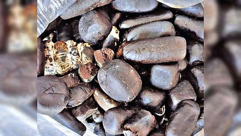 काश्मीर मधून कारने आणला १४ कोटींचा चरस