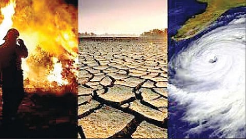 हवामान बदलाचा विद्यापीठ घेणार अचूक वेध!