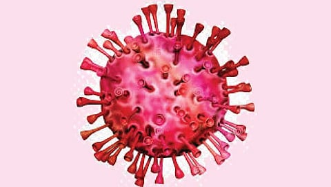 प्राण्यांमधून माणसात येणार्‍या विषाणूचा आधीच लागेल छडा