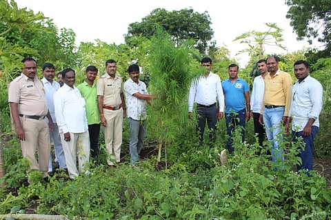 टेंभुर्णीत सात लाखांचा गाजा जप्त