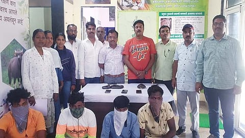 कराड : मांडूळ व कासव विक्रीप्रकरणी चौघांना अटक