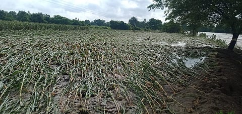 औरंगाबाद : सिल्‍लोडात पावसामुळे दाणादाण, शेतीच गेली खरडून