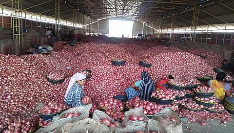 Onion Rate : सणासुदीत शेतकऱ्यांवर संकट, कांद्याचे भाव गडगडले