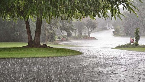 जळगाव जिल्ह्यात वादळी वाऱ्यासह पावसाची शक्यता
