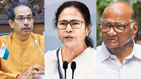TMC : ममतादिदी आज उद्धव ठाकरे अन् शरद पवारांची घेणार भेट