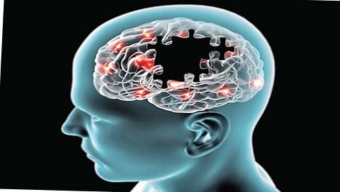 अल्झायमरमधील जैव-आण्विक तंत्राचा शोध