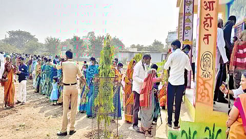 सोलापूर : पाच नगरपंचायतींसाठी चुरशीने ७७ टक्के मतदान