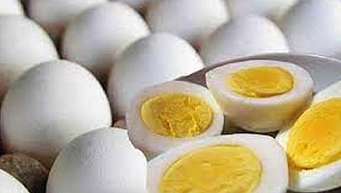 थंडीची चाहूल, अंडी शेकड्यामागे १५० रुपयांनी महागली