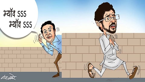 ध्वनिशोध अहवाल