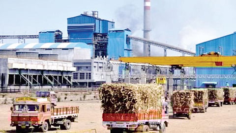 महाराष्ट्राच्या साखर कारखानदारीची विक्रमी उत्पादनाकडे घोडदौड!