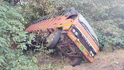 Accident : कासच्या जंगलात तमाशा कलावंतांच्या टेम्पोला अपघात; ५ जण जखमी